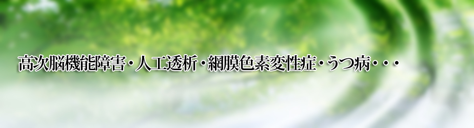 index.html